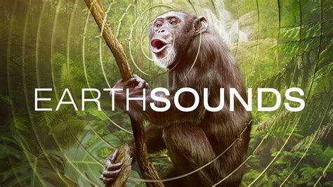 titta earthsounds online